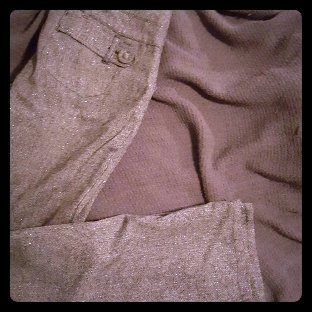 Silver pants
